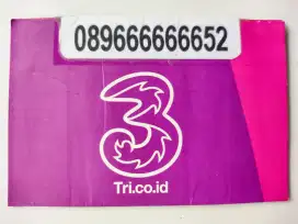 Perdana cantik Tri sapta prabayar
