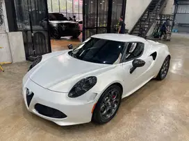 Alfa Romeo 4C (Ultra Rare Super Car)