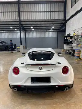 Alfa Romeo 4C (Ultra Rare Super Car)