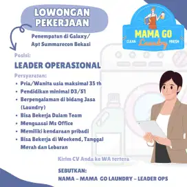 Lowongan Pekerjaan Leader Operasional Laundry