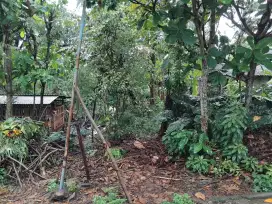 Jarang Ada! Tanah Cocok utk Perumahan & Apartement