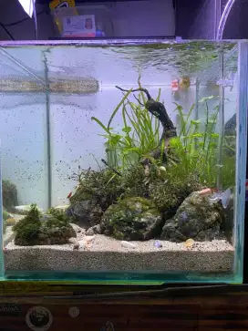 Aquascape Cube 30x30 full set