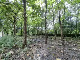 DI JUAL CEPAT TANAH PEKARANGAN