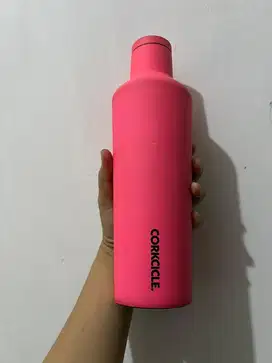 CORCKCICLE 16oz