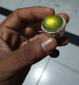 indogres neon green