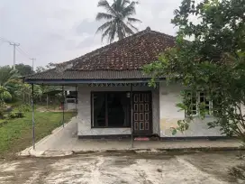 Jual Cepat, Rumah Pinggir Jalan Raya