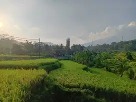 di jual tanah sawah di Cicurug sukabumi