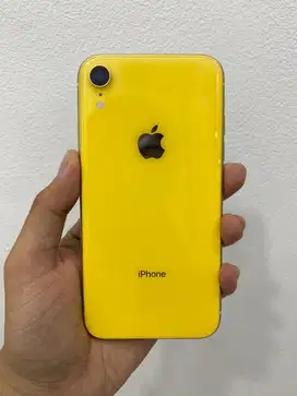 iPhone XR 64GB YELLOW INTER ALL OPERATOR