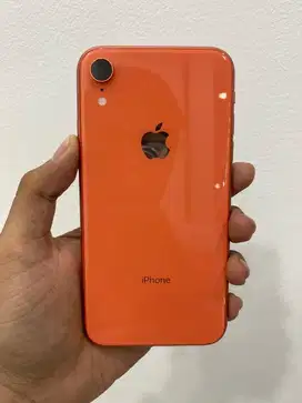 iPhone XR 64GB Coral Inter All Operator