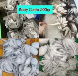 Baby Gurita 500gr