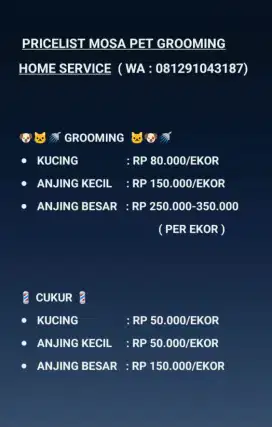 Layanan Jasa Salon hewan