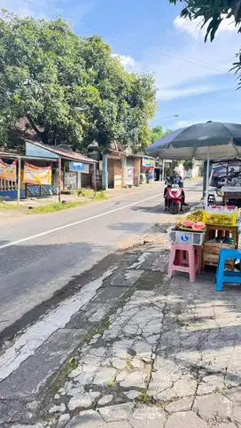 Rumah di jogja harga  11,5M