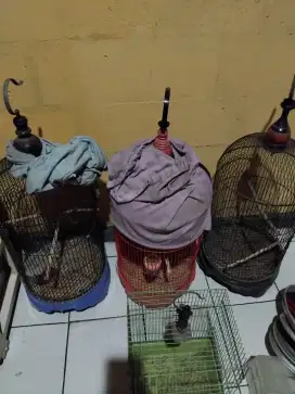 kandang bekas burung
