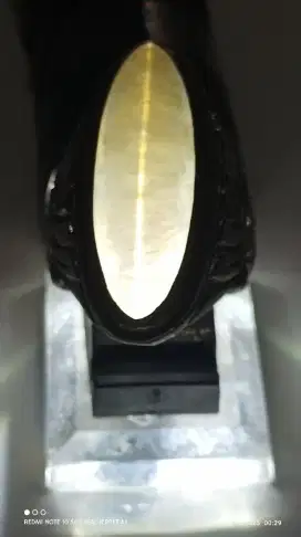 Bisa Nego Batu Pandan Kapas siap mejeng