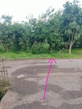 Jual Tanah Tanpa Perantara