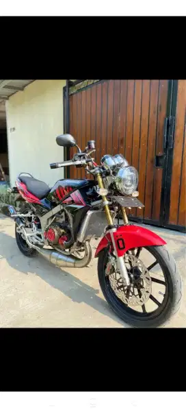 ninja ss zebra 2014