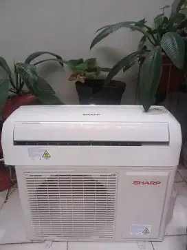 AC Sharp 1/2 PK