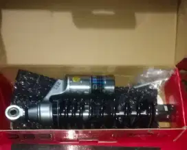 Shock dbs 310mm