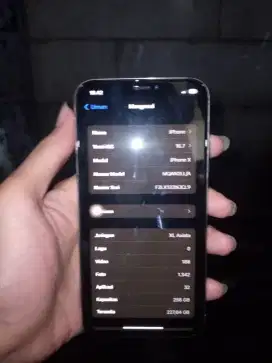 Iphone X 256Gb.