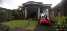 jasa angkut monggo