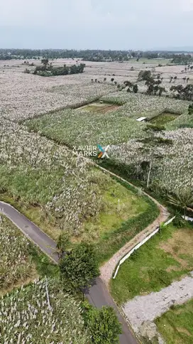 Dijual Tanah Kavling Super Luas di Daerah Mondoroko, Singosari Malang