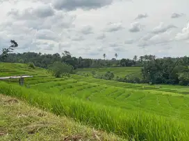 Kebun view sawah , gunung dan laut di tabanan selemadeg