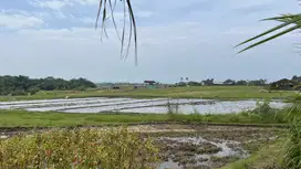 Tanah dekat pantai zona pariwisata cocok untuk villa