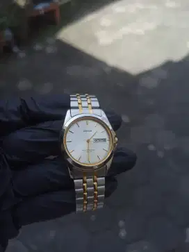 Jam Tangan Citizen Junction Two Tone Watches