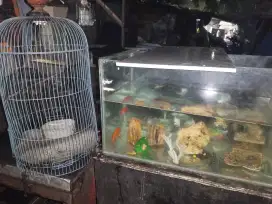 Aquarium komplit pajangan Aerator ikan mas dan sangkar burung