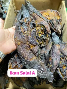 Ikan Salai Medan 500gr
