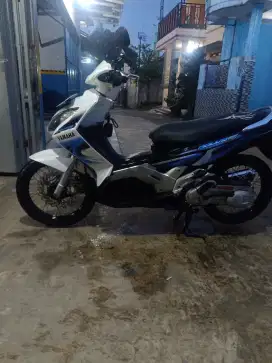 Albino 2006 ais