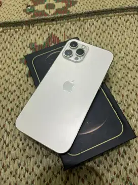 iPhone 12promax 256gb