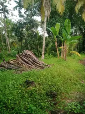 di jual  tanah di kec Cikalong tasikmalaya