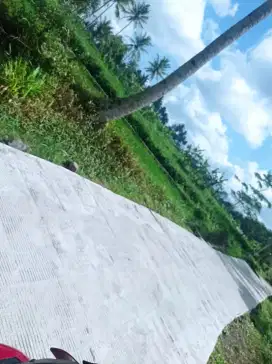 Sawah subur view Merapi timur Resto Morolejar, area villa/ homestay