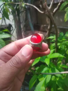 Batu cincin red cempaka asli natural serat kura murmer
