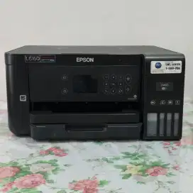 printer epson L6160 normal sehat