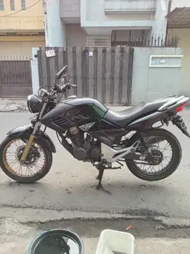 Tiger revo 2008