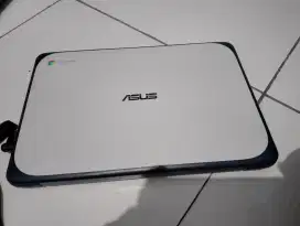 Notebook - Chromebook Asus C202s