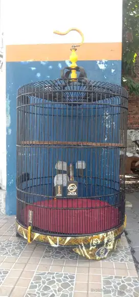 Sangkar Murai no 2