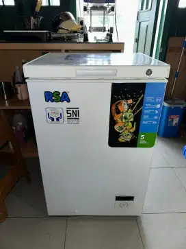 FREEZER RSA GEA CF - 110