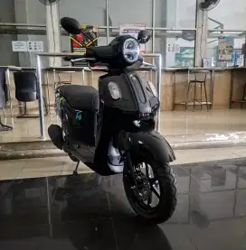 Fazzio hybrid hitam 2025