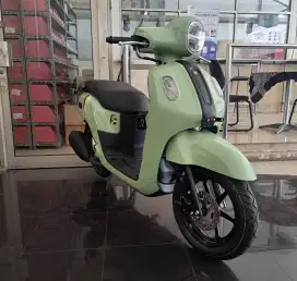 Fazzio neo hybrid hijau muda