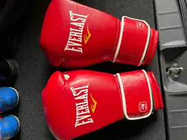 SEPATU TINJU BOXING GLOVE TINJU BOXING EVERLAST