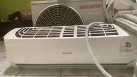 ac 1/2pk sharp muluss