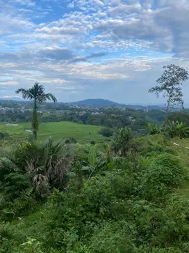 Tanah datar murah 3200 dkt Guci Tegal view pegunungan sawah lampu kota