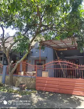 dijual murah rumah di kota malang area kampus