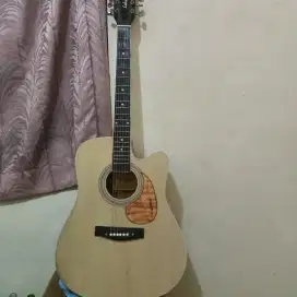 Jual gitar Pemula