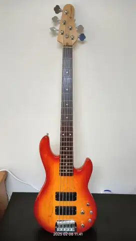 Bass 5 string GnL M2500