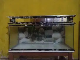 Aquarium Besar. Mewah!