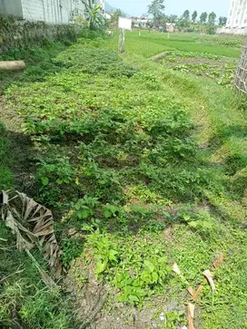 Tanah Harga Miring Jatinangor untuk Kosan